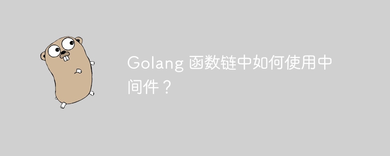Golang 函数链中如何使用中间件?
