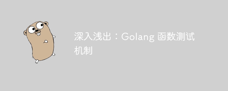 深入浅出:Golang 函数测试机制