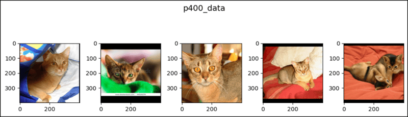 PyTorch 中的 CenterCrop
