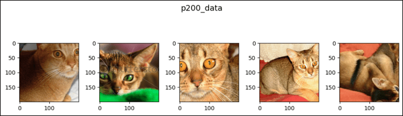 PyTorch 中的 CenterCrop