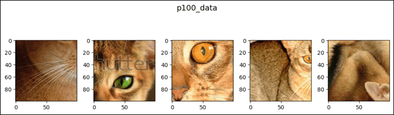 PyTorch 中的 CenterCrop