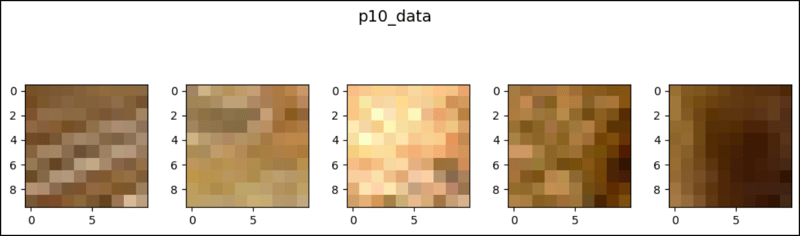 PyTorch 中的 CenterCrop