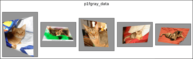pytorch的兰德姆布森
