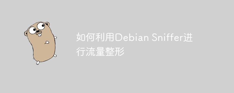 如何利用Debian Sniffer进行流量整形