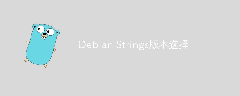 Debian Strings版本选择