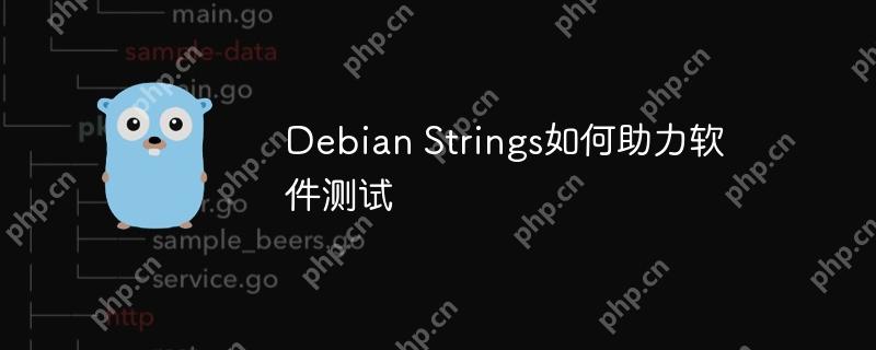 Debian Strings如何助力软件测试