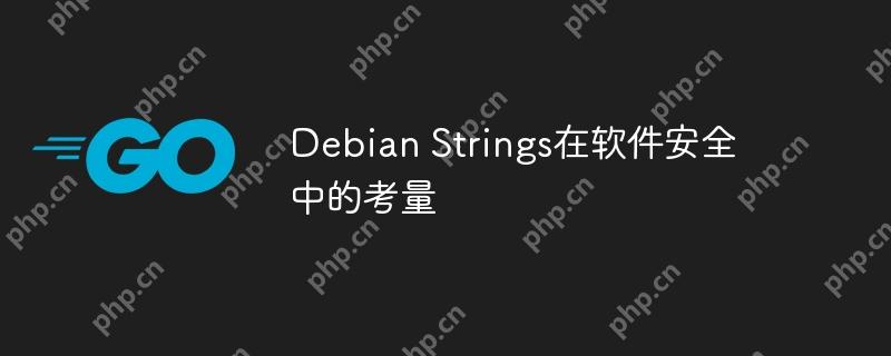 Debian Strings在软件安全中的考量