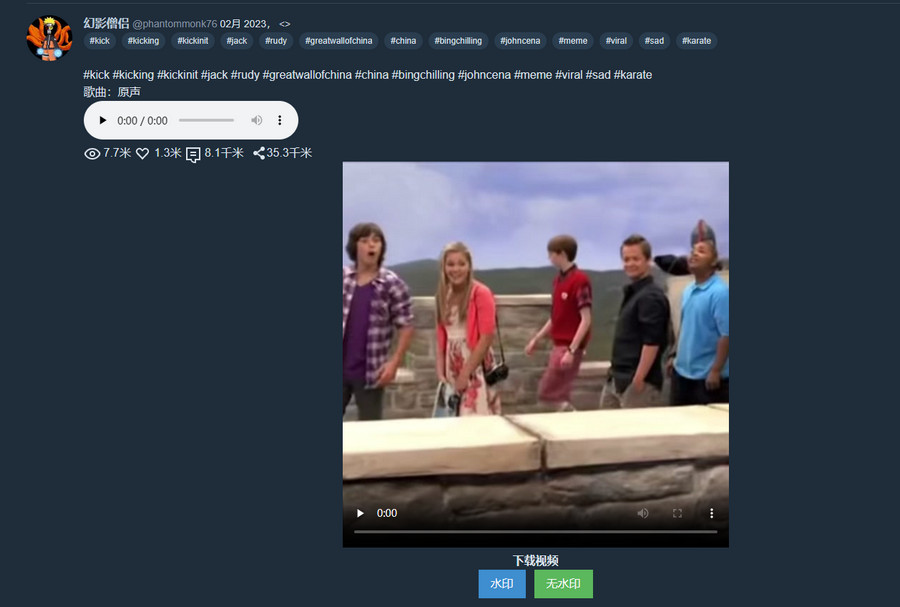 ProxiTok国际版抖音TikTok网页源码