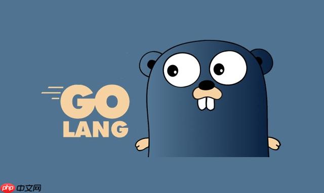 Golang怎么使用结构体标签 Golang结构体技巧详解