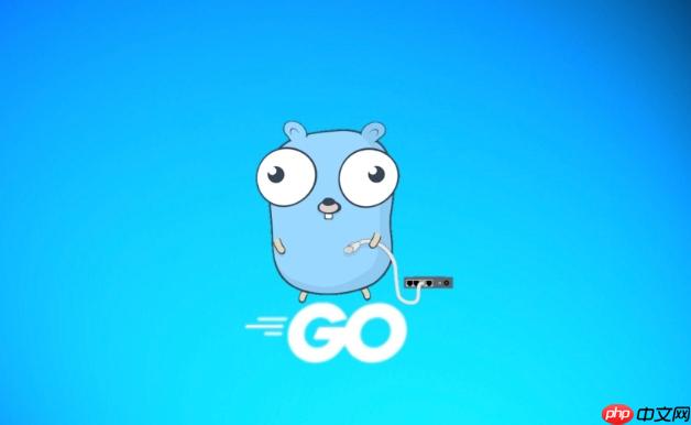 Golang怎么进行网络编程 Golang网络通信指南