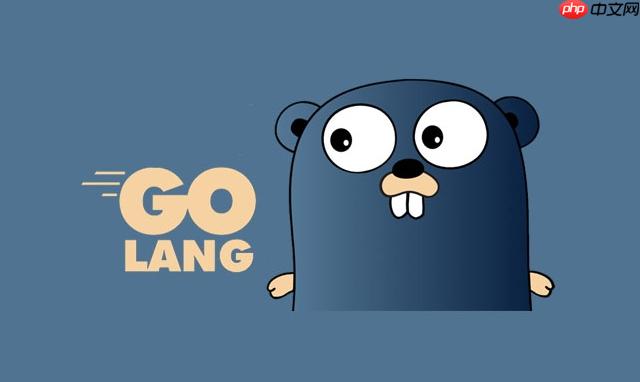 如何在Golang中避免指针引起的空指针异常 Golang空指针异常的预防方法