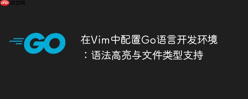 在Vim中配置Go语言开发环境：语法高亮与文件类型支持