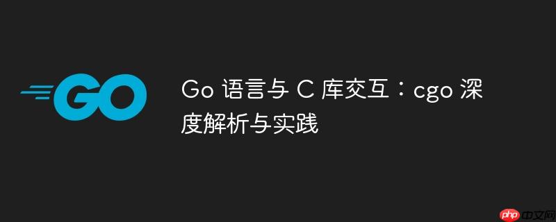Go 语言与 C 库交互：cgo 深度解析与实践