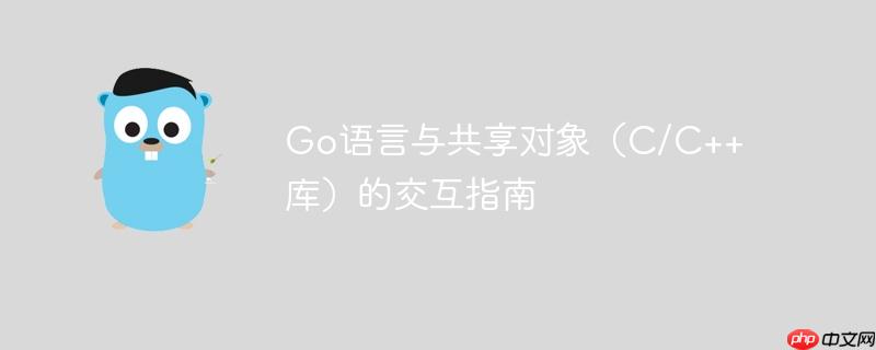 Go语言与共享对象（C/C++库）的交互指南