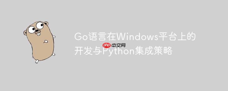 Go语言在Windows平台上的开发与Python集成策略