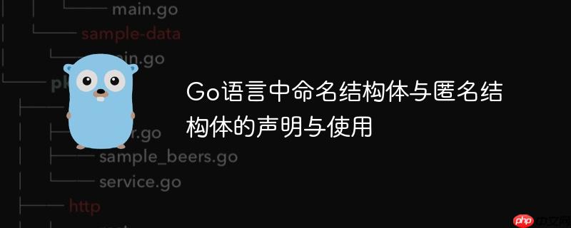 Go语言中命名结构体与匿名结构体的声明与使用