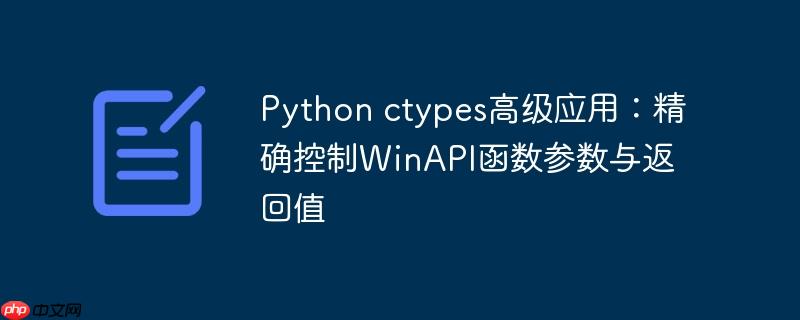 Python ctypes高级应用：精确控制WinAPI函数参数与返回值