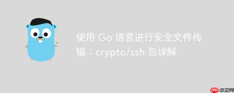 使用 Go 语言进行安全文件传输：crypto/ssh 包详解