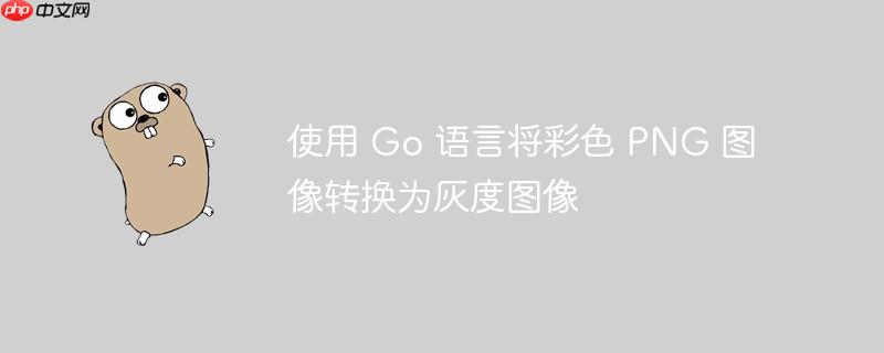 使用 Go 语言将彩色 PNG 图像转换为灰度图像