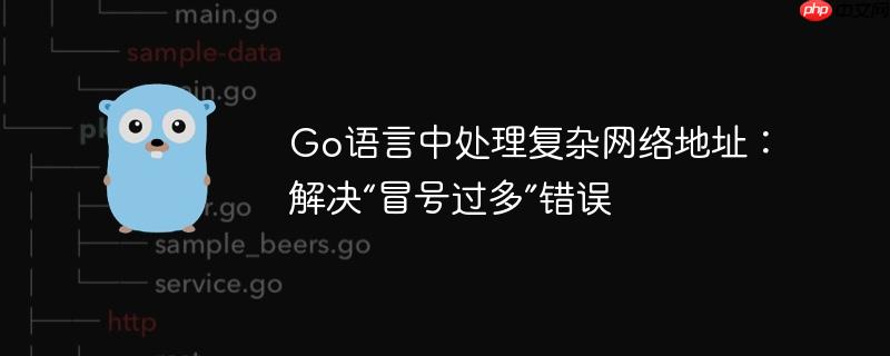 Go语言中处理复杂网络地址：解决“冒号过多”错误