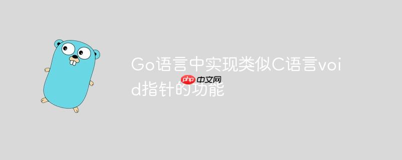 Go语言中实现类似C语言void指针的功能