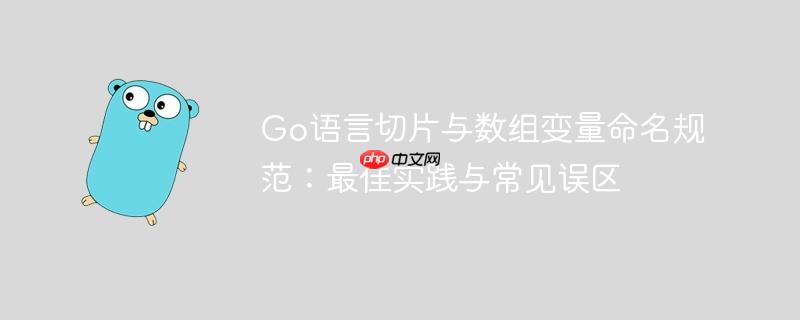 Go语言切片与数组变量命名规范：最佳实践与常见误区