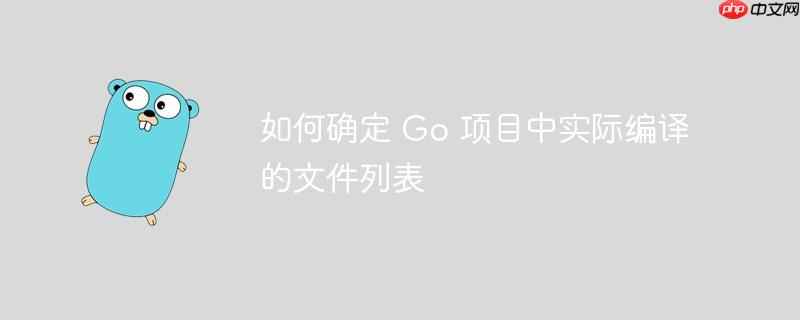 如何确定 Go 项目中实际编译的文件列表