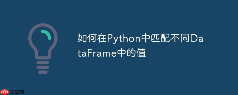 如何在Python中匹配不同DataFrame中的值