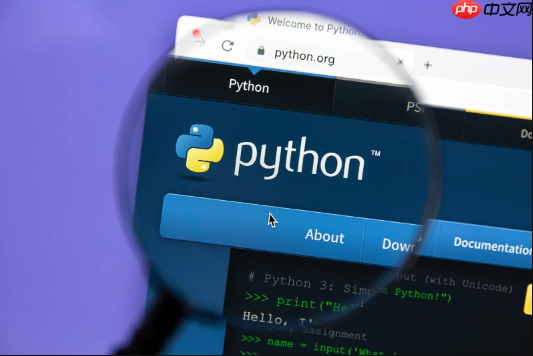Python怎么获取函数的返回值_Python函数返回值捕获与使用