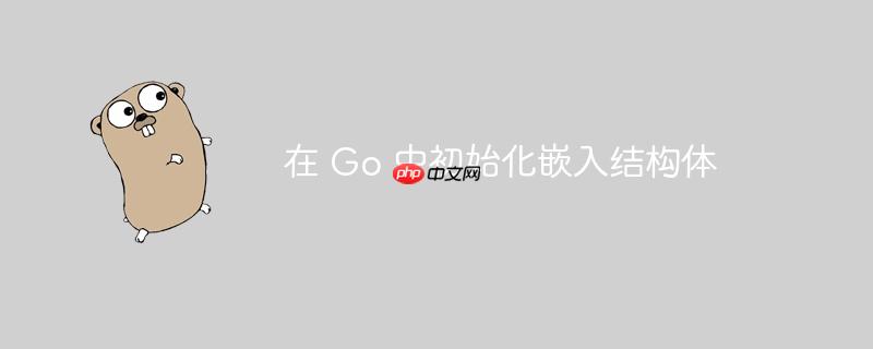 在 Go 中初始化嵌入结构体