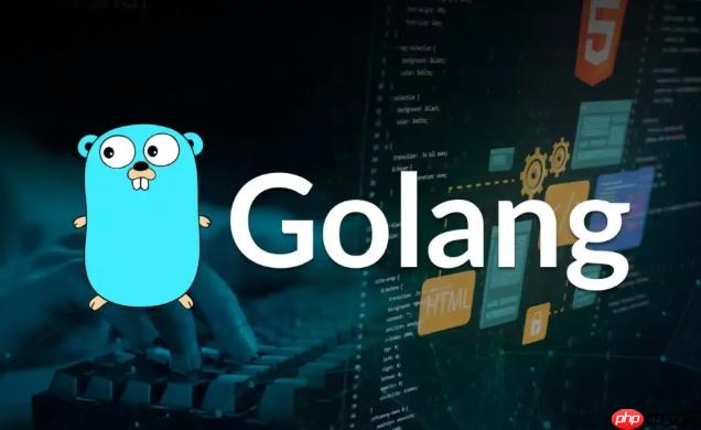 Golang结构体字段非法值如何校验