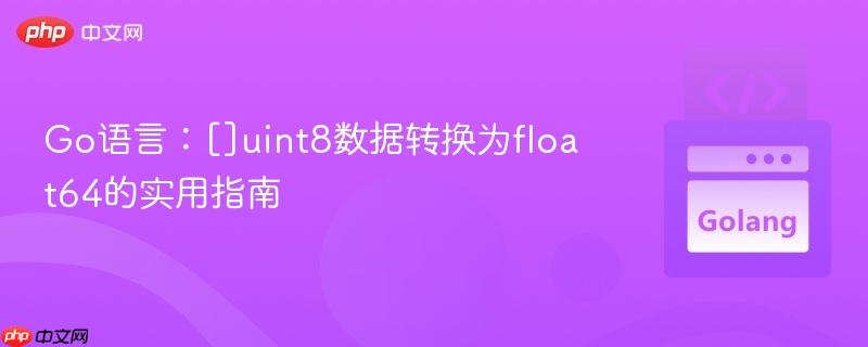 Go语言：[]uint8数据转换为float64的实用指南