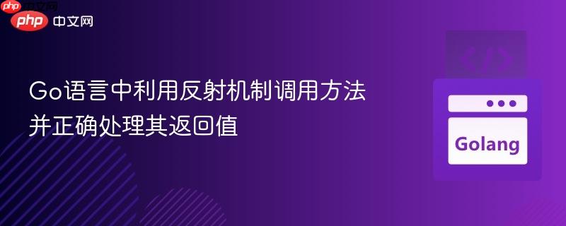 Go语言中利用反射机制调用方法并正确处理其返回值