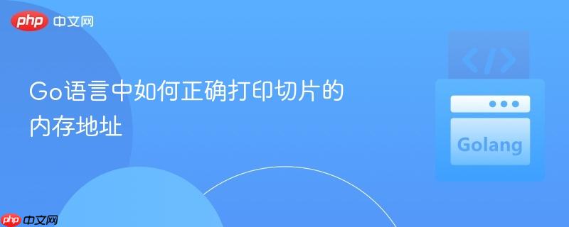 Go语言中如何正确打印切片的内存地址